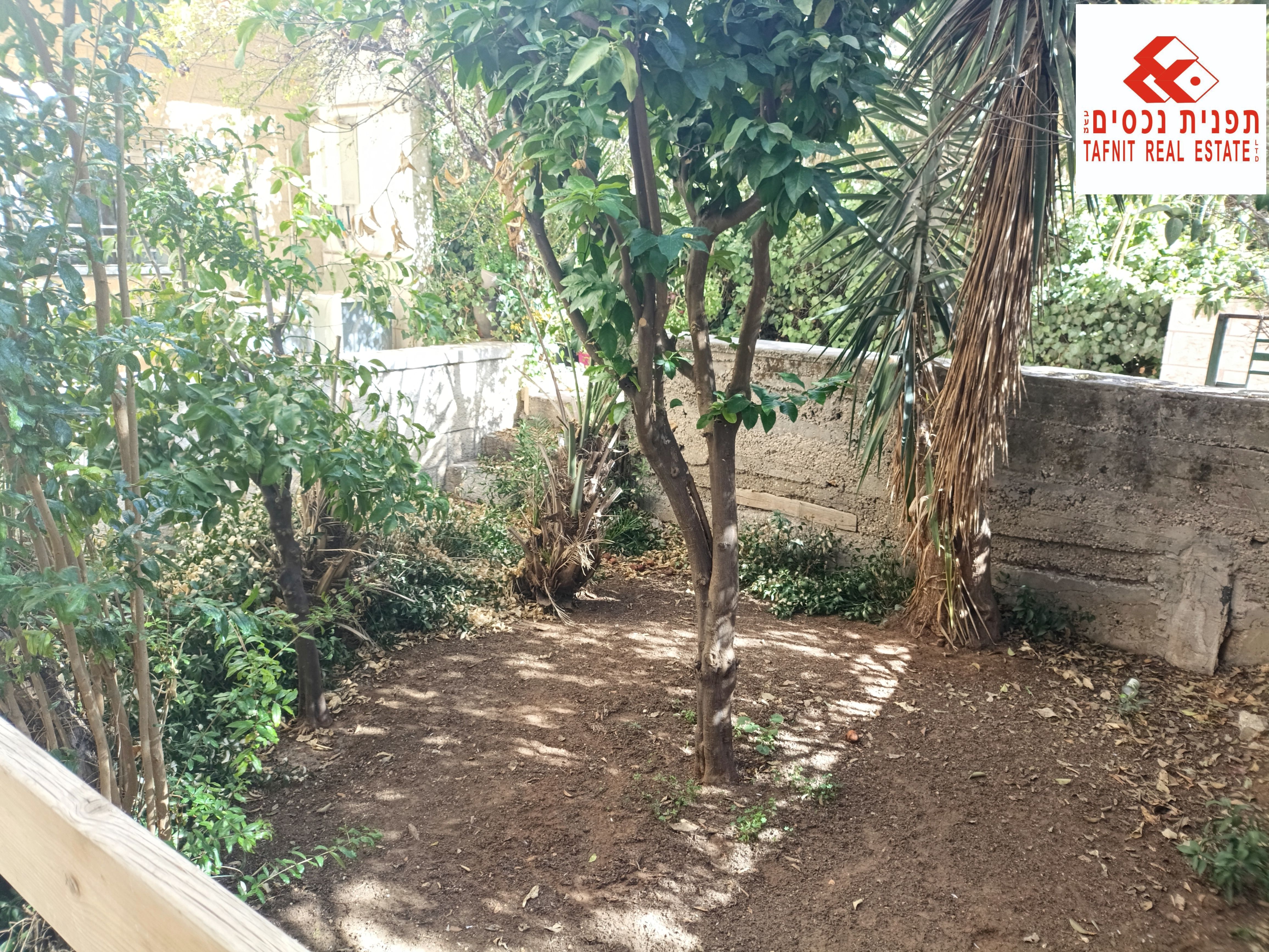 מהסמארטפון שלי